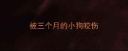 被三个月的小狗咬伤