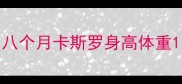 八个月卡斯罗身高体重
