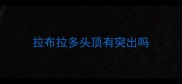 拉布拉多头顶有突出吗