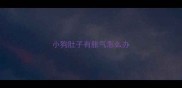 小狗肚子有胀气怎么办