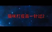 猫咪打疫苗一针过