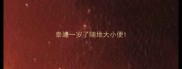 泰迪一岁了随地大小便