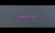 公泰迪取名字大全