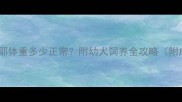 6个月萨摩耶体重多少正常附幼犬饲养全攻略附成长对比图