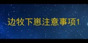 边牧下崽注意事项