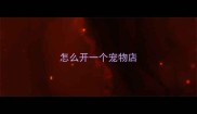 怎么开一个宠物店