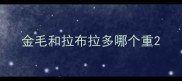 金毛和拉布拉多哪个重