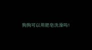 狗狗可以用肥皂洗澡吗