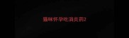 猫咪怀孕吃消炎药