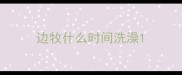 边牧什么时间洗澡