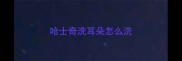 哈士奇洗耳朵怎么洗
