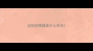 边牧的眼睛是什么形状