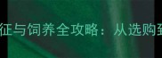 品种灰色哈士奇蓝眼特征与饲养全攻略从选购到健康管理的实用指南