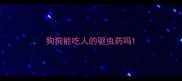 狗狗能吃人的驱虫药吗