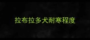 拉布拉多犬耐寒程度