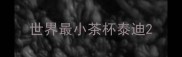 世界最小茶杯泰迪