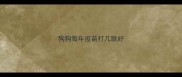 狗狗每年疫苗打几联好