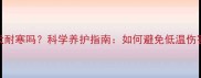 拉布拉多幼犬耐寒吗科学养护指南如何避免低温伤害与应激反应