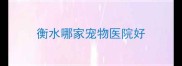 衡水哪家宠物医院好