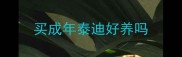 买成年泰迪好养吗