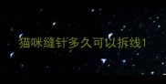 猫咪缝针多久可以拆线