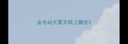金毛幼犬夏天晚上睡觉