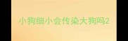 小狗细小会传染大狗吗