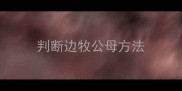 判断边牧公母方法