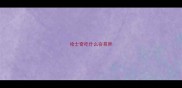 哈士奇吃什么容易胖