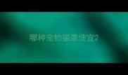 哪种宠物猫最便宜