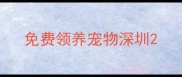 免费领养宠物深圳