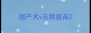 国产犬v五联疫苗