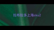 拉布拉多上海cku