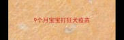 9个月宝宝打狂犬疫苗