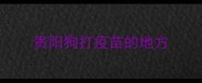贵阳狗打疫苗的地方