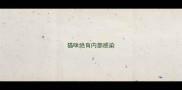 猫咪绝育内部感染