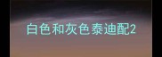 白色和灰色泰迪配