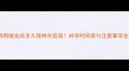 狗狗驱虫后多久接种犬疫苗科学时间表与注意事项全