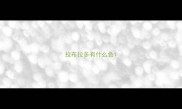拉布拉多有什么色