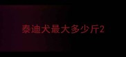 泰迪犬最大多少斤