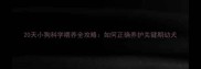 20天小狗科学喂养全攻略如何正确养护关键期幼犬