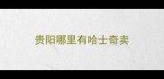 贵阳哪里有哈士奇卖