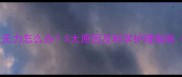 小猫接种疫苗后呕吐无力怎么办5大原因及科学护理指南附紧急处理方案