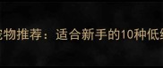 家庭友好型宠物推荐适合新手的10种低维护宠物指南