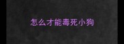 怎么才能毒死小狗