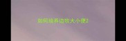 如何培养边牧大小便