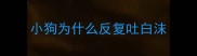 小狗为什么反复吐白沫