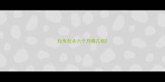 拉布拉多六个月喂几顿
