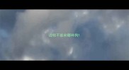 边牧不能和哪种狗