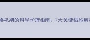 边牧在上海换毛期的科学护理指南7大关键措施解决掉毛难题